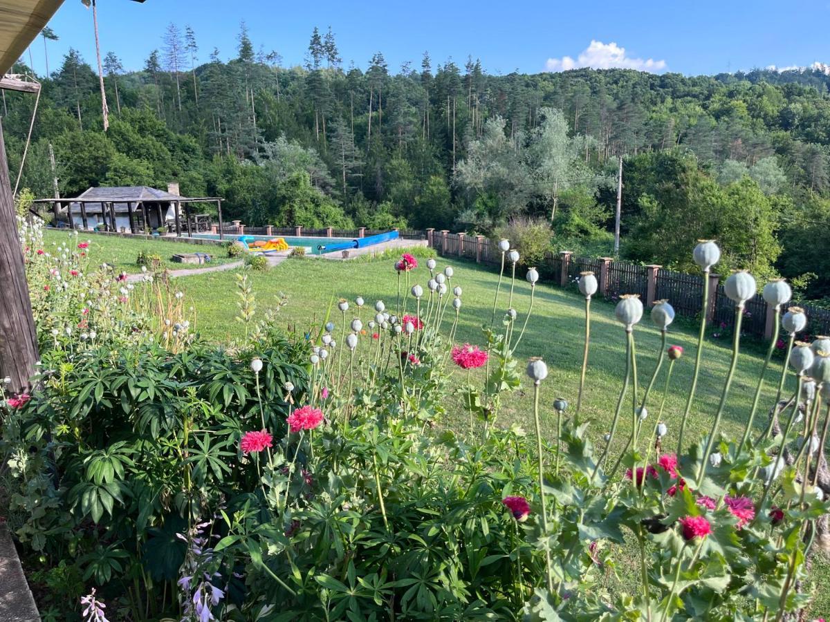 Agriturismo Hidden Paradise Villa Tryavna Exterior foto