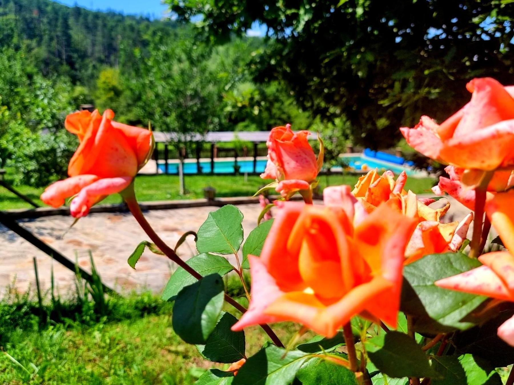 Agriturismo Hidden Paradise Villa Tryavna Exterior foto