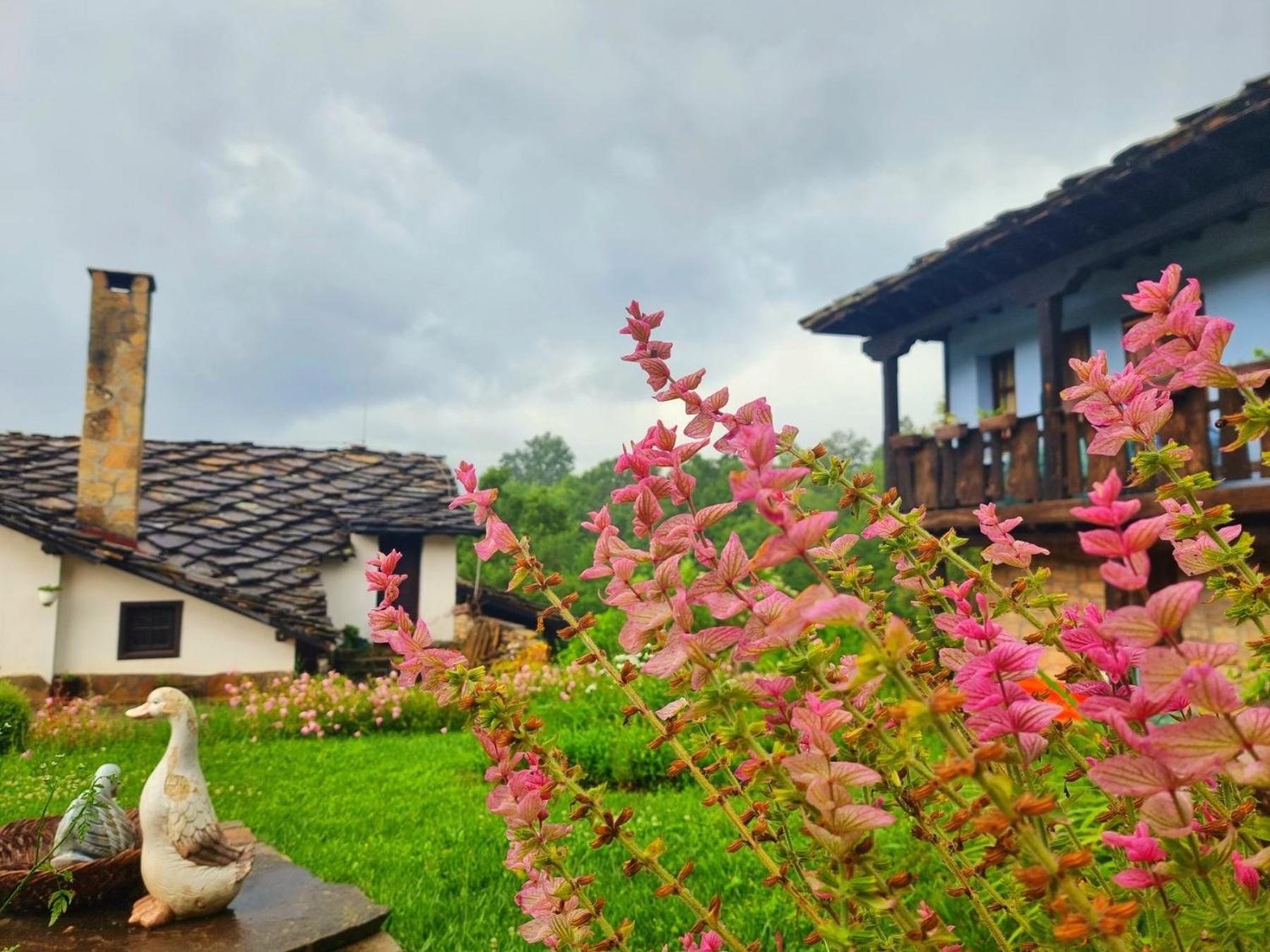 Agriturismo Hidden Paradise Villa Tryavna Exterior foto