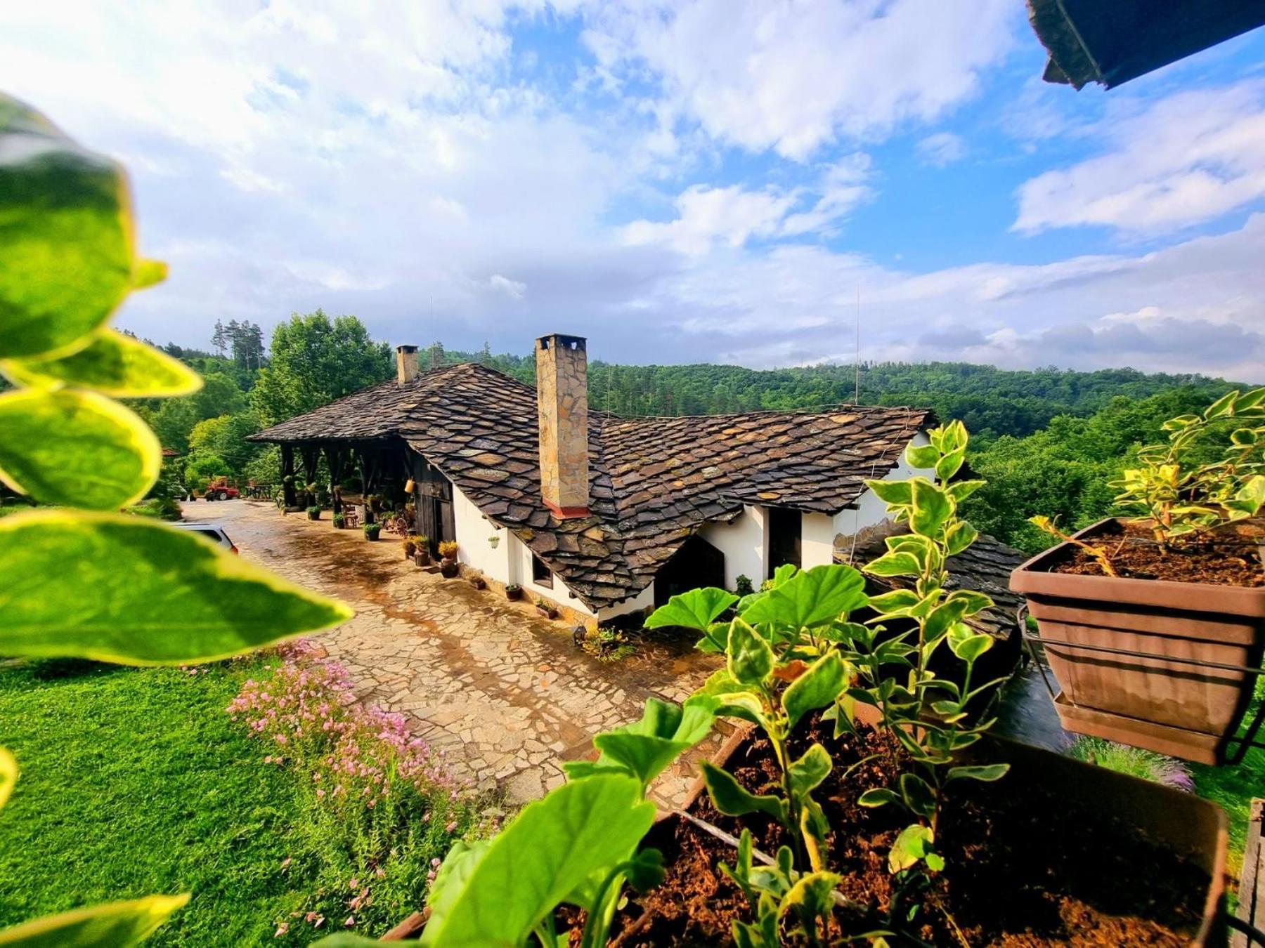 Agriturismo Hidden Paradise Villa Tryavna Exterior foto