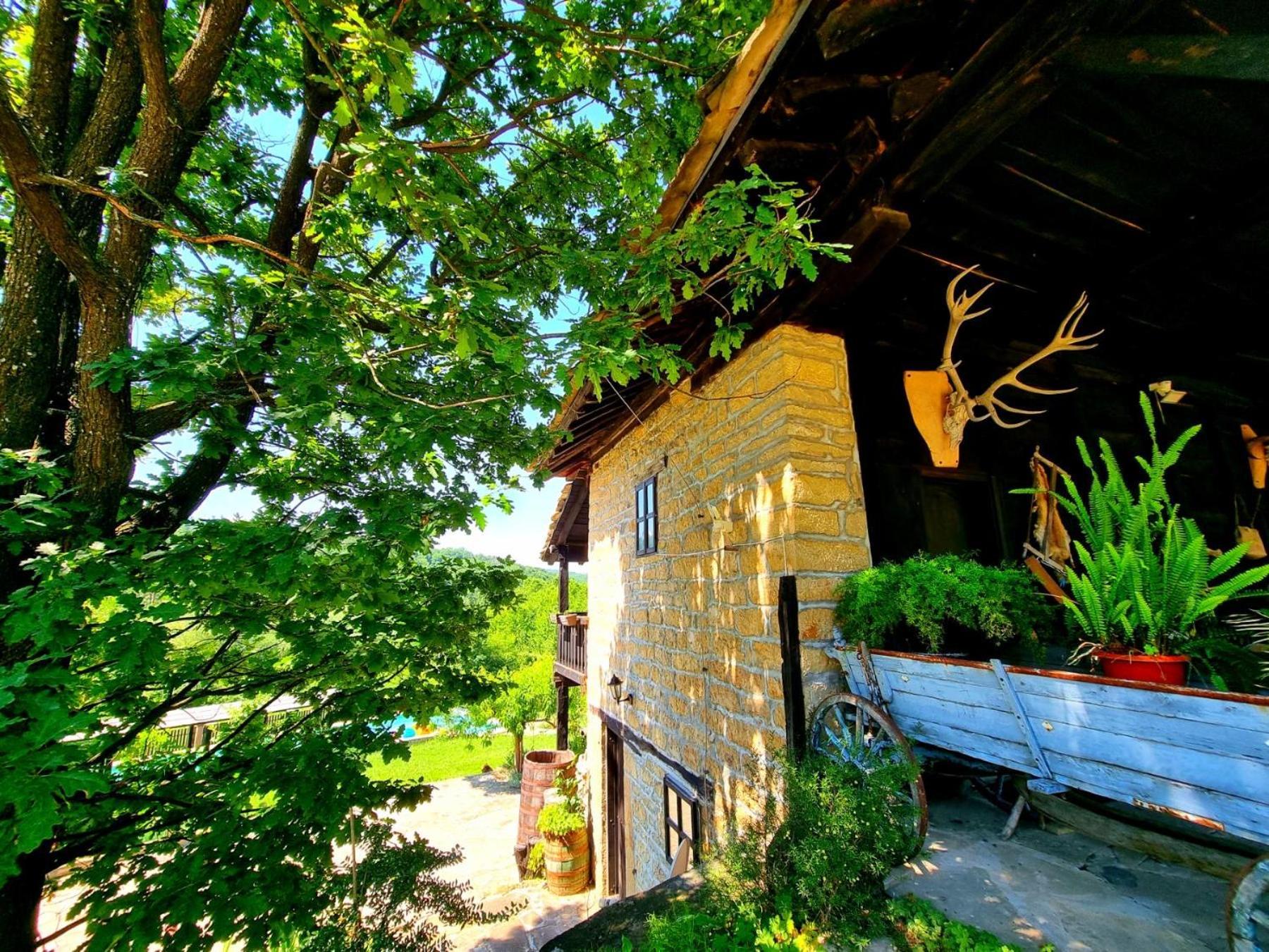 Agriturismo Hidden Paradise Villa Tryavna Exterior foto